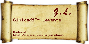 Gibicsár Levente névjegykártya